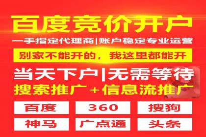 SEM推广优化策略：实战案例分析